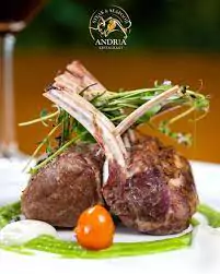 Photo of a succulent rack of lamb beautifully plated at Andria's Steak and Seafood restaurant, garnished with herbs and served with side dishes.